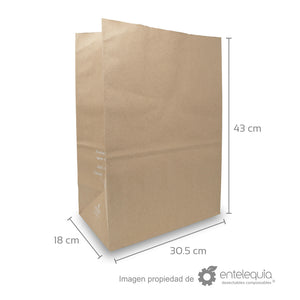 Bolsa de papel kraft de 1/6 sin asa (30.5x17.5+43cm)
