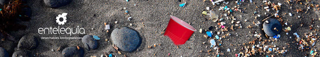 Oxo-Degradables o Biodegradables ¿Cuál es la mejor opción?