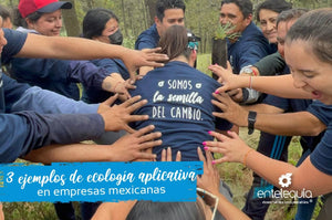 3 ejemplos de ecología aplicada en empresas mexicanas
