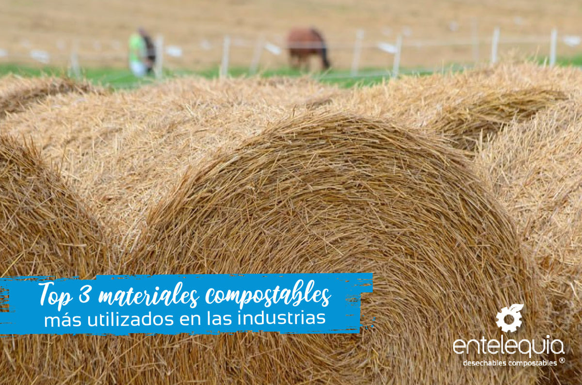 top-de-3-materiales-compostables