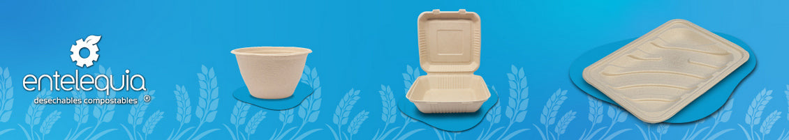 Cómo saber si un producto es biodegradable