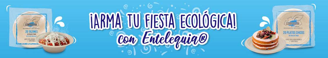 ¿Cómo hacer una fiesta ecológica?