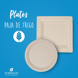 Platos Desechables Biodegradables y Compostables