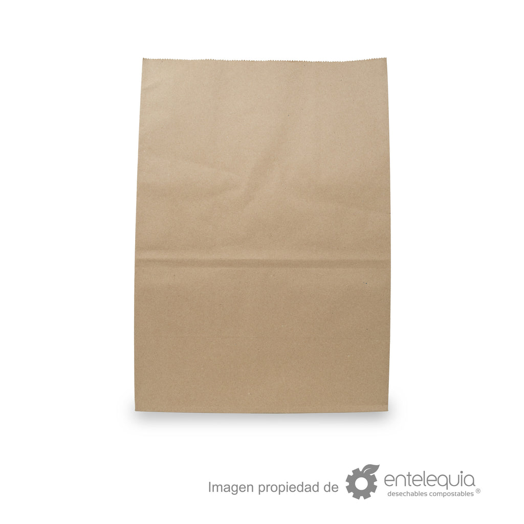 Bolsa de papel kraft de 1/6 sin asa (30.5x17.5+43cm)