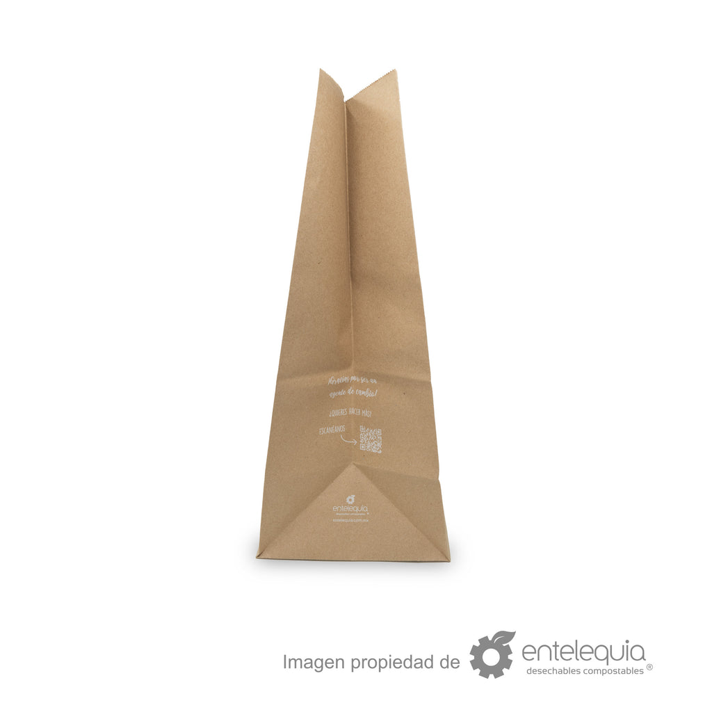 Bolsa de papel kraft de 1/6 sin asa (30.5x17.5+43cm)
