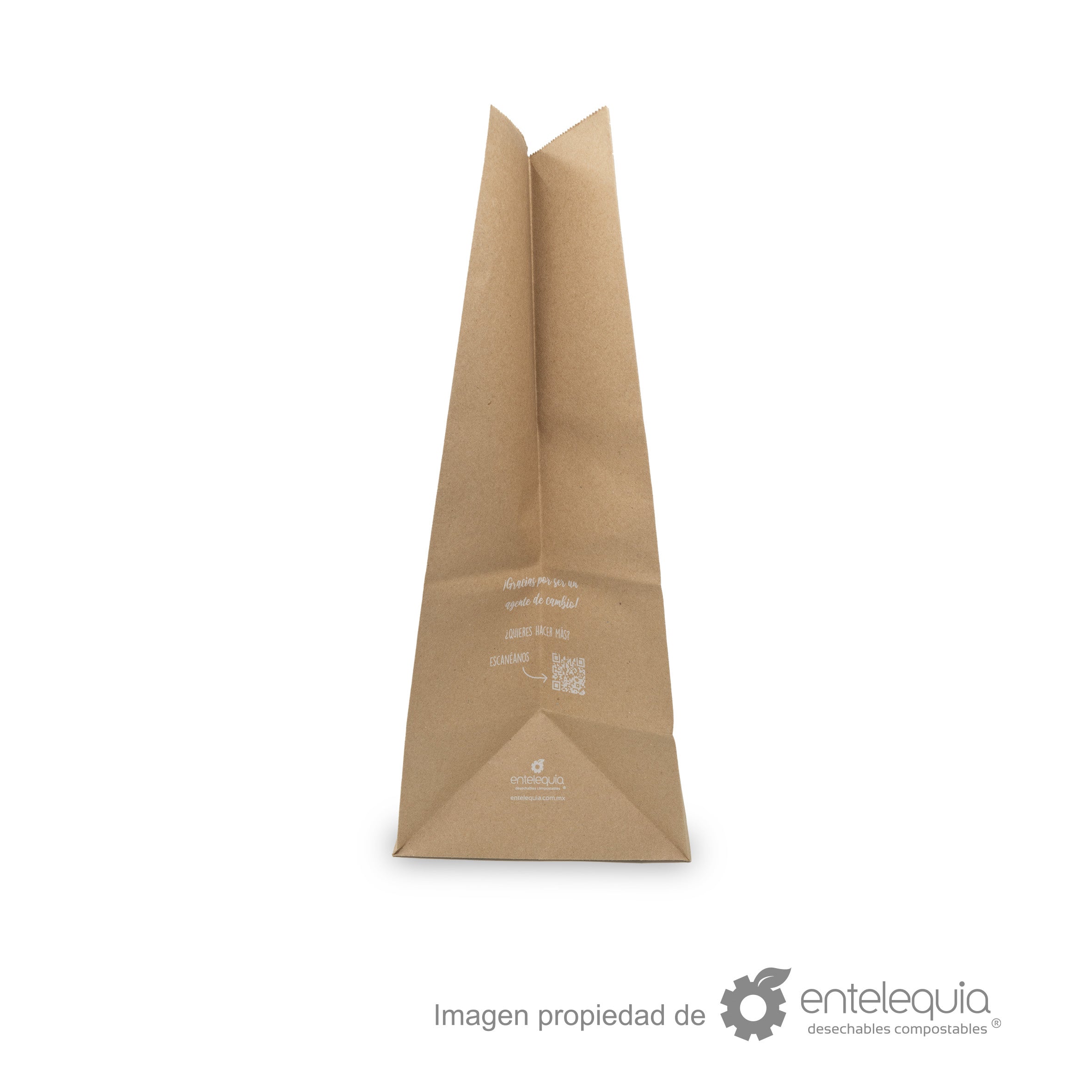 Bolsa de papel kraft de 1/6 sin asa (30.5x17.5+43cm)