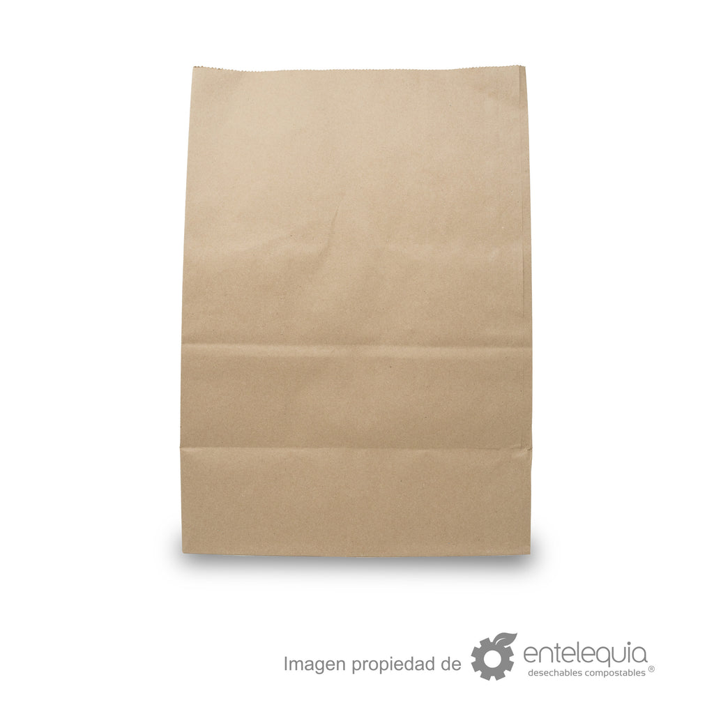 Bolsa de papel kraft de 1/6 sin asa (30.5x17.5+43cm)