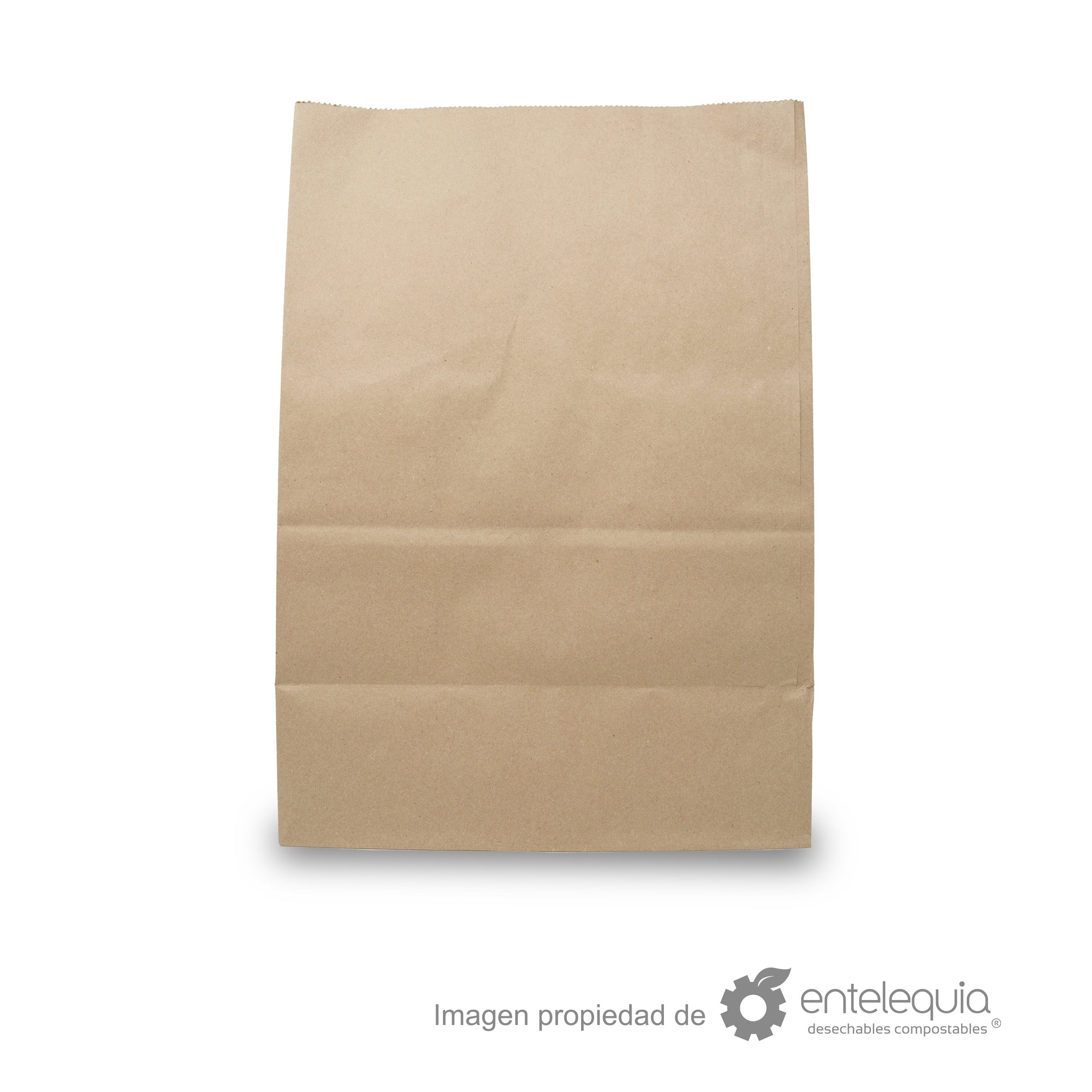 Bolsa de papel kraft de 1/6 sin asa (30.5x17.5+43cm)