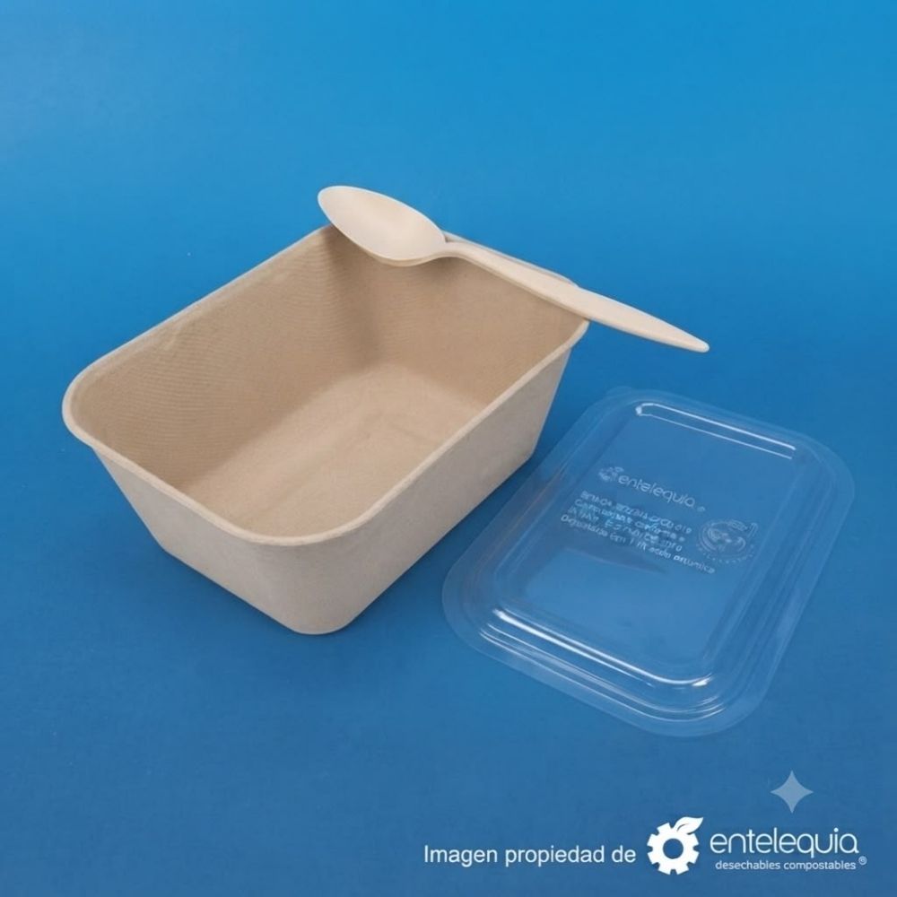 KIT PARA HELADERÍA | CONTENEDORES COMPOSTABLES, TAPAS Y CUCHARAS