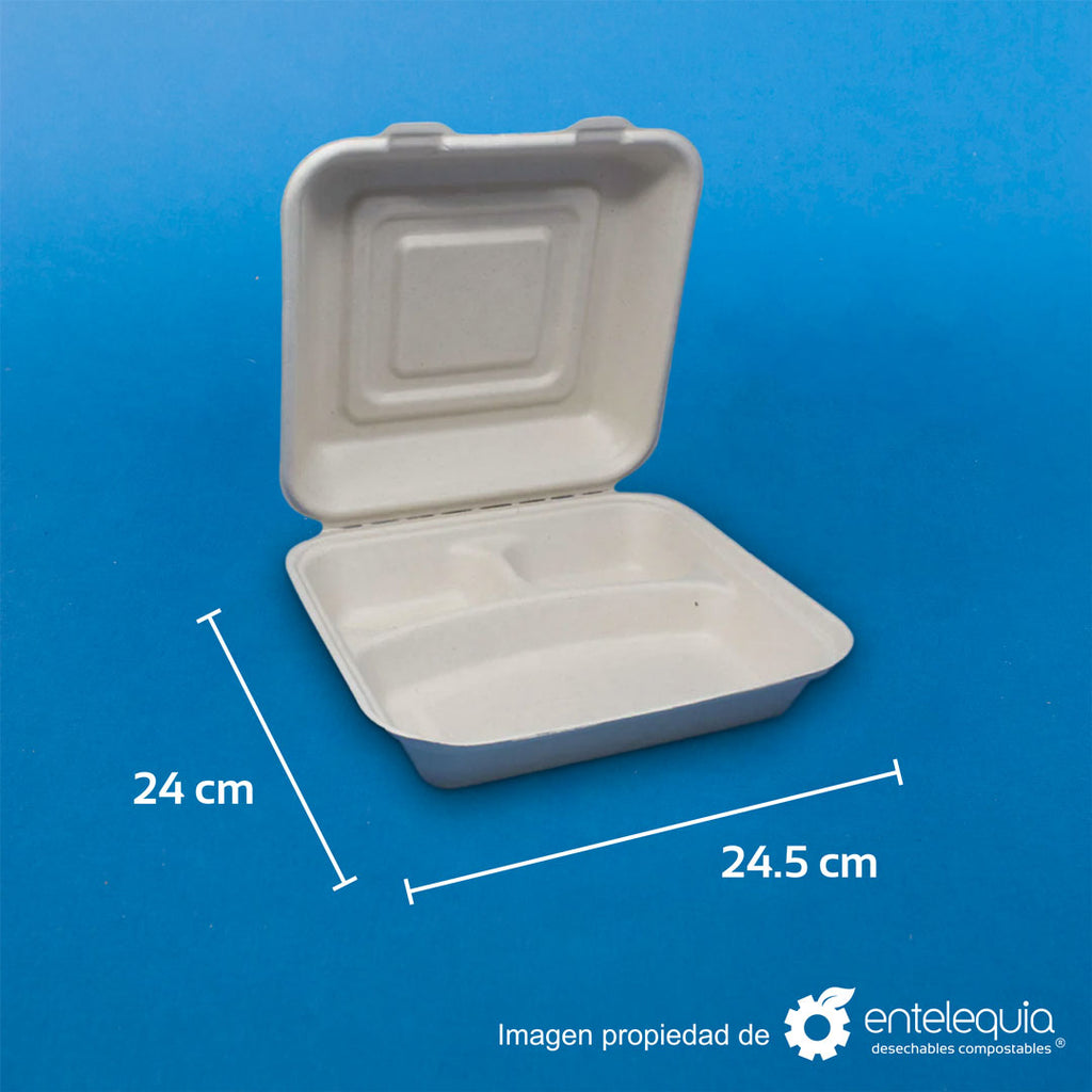 Almeja de 9x9" con 3 divisiones de paja de trigo
