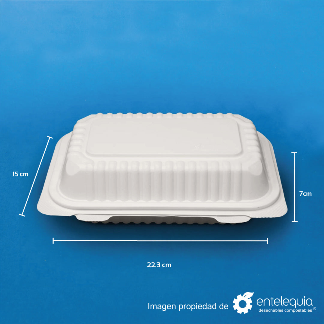 Almeja rectangular de 9x6" de fécula de maíz