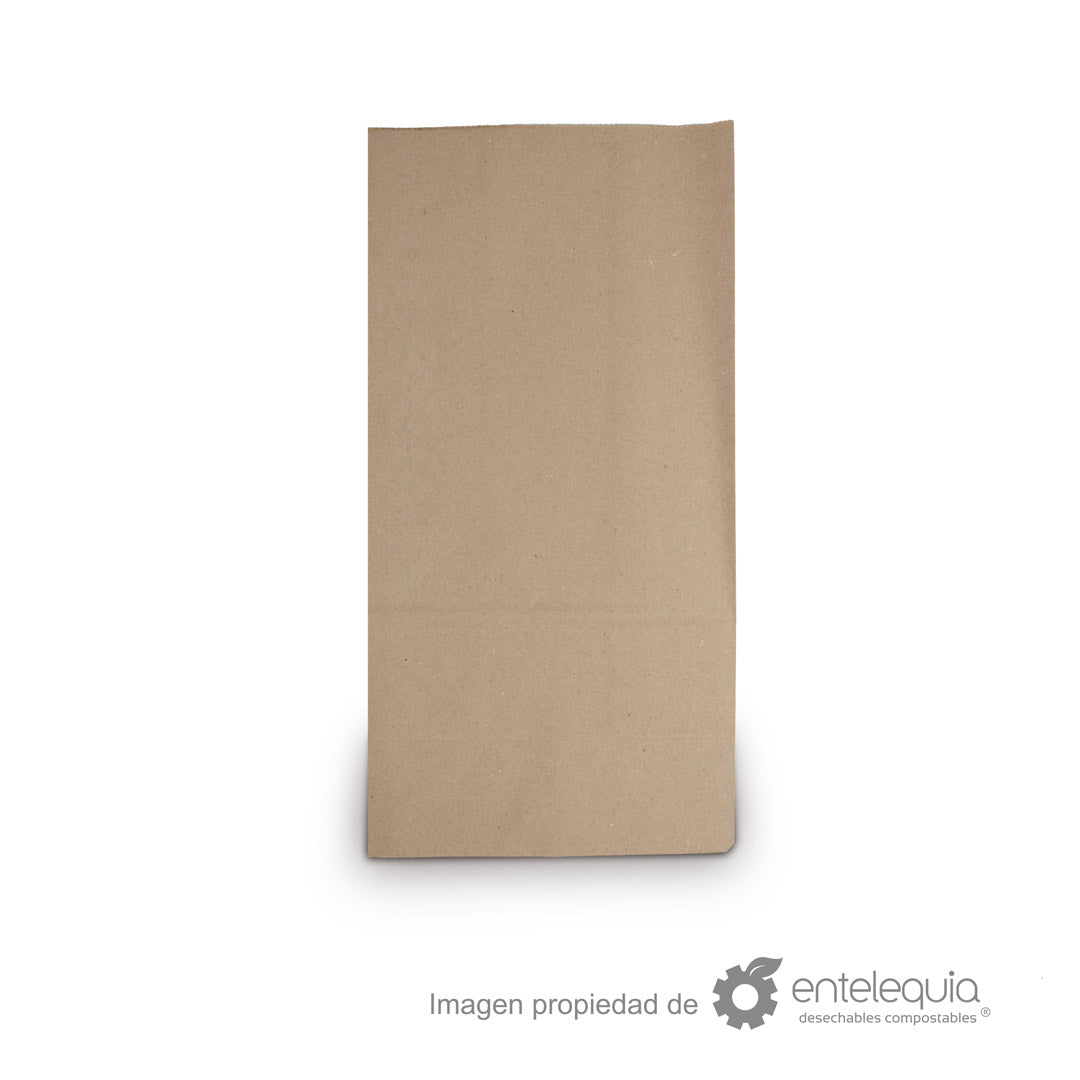 Bolsa de papel kraft #20 Larga (21x13+41 cm)