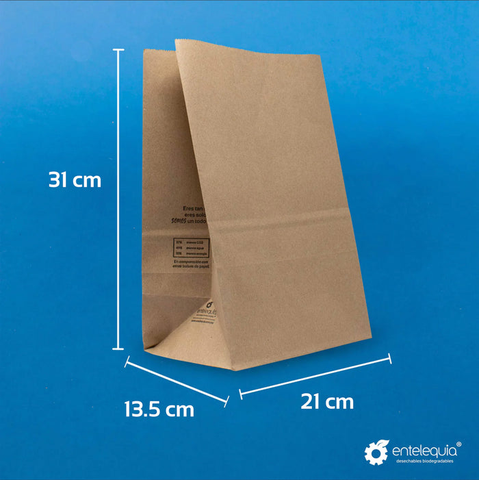 Bolsa de papel kraft #20 Mediana (20.5x31.5x13.5 cm)