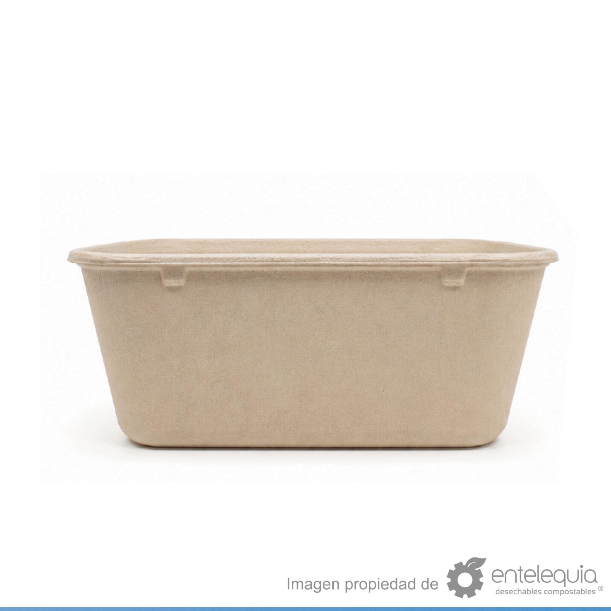 Contenedor de paja de trigo liso de 18x14” (18.6 x 13.9 x 8.5 cm)
