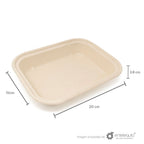Contenedor liso de 8x6" de paja de trigo (20 x 15 x 3.8 cm)