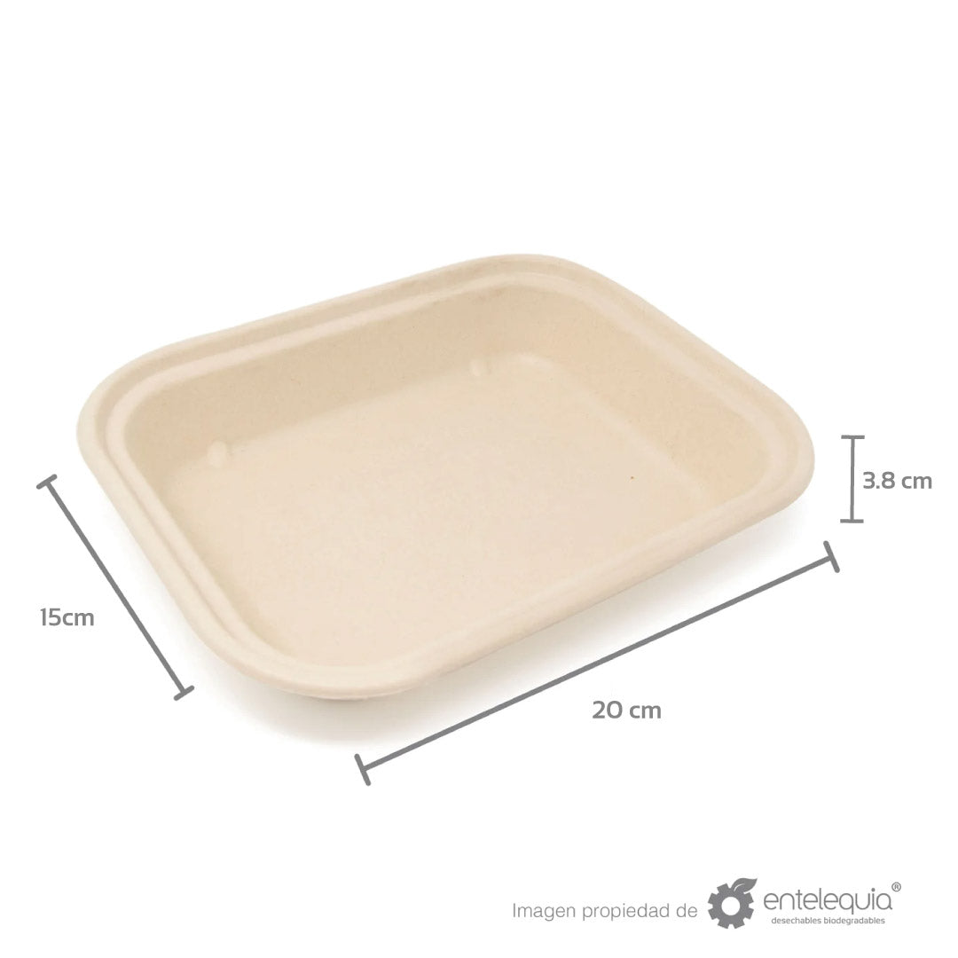 Contenedor liso de 8x6" de paja de trigo (20 x 15 x 3.8 cm)