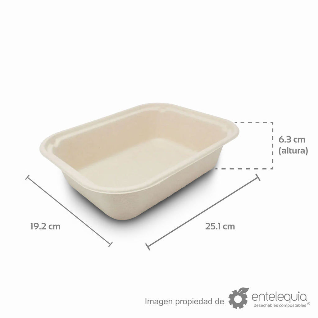 Contenedor alto de 10x8" de paja de trigo” (25 x 19.2 x 6.4 cm)