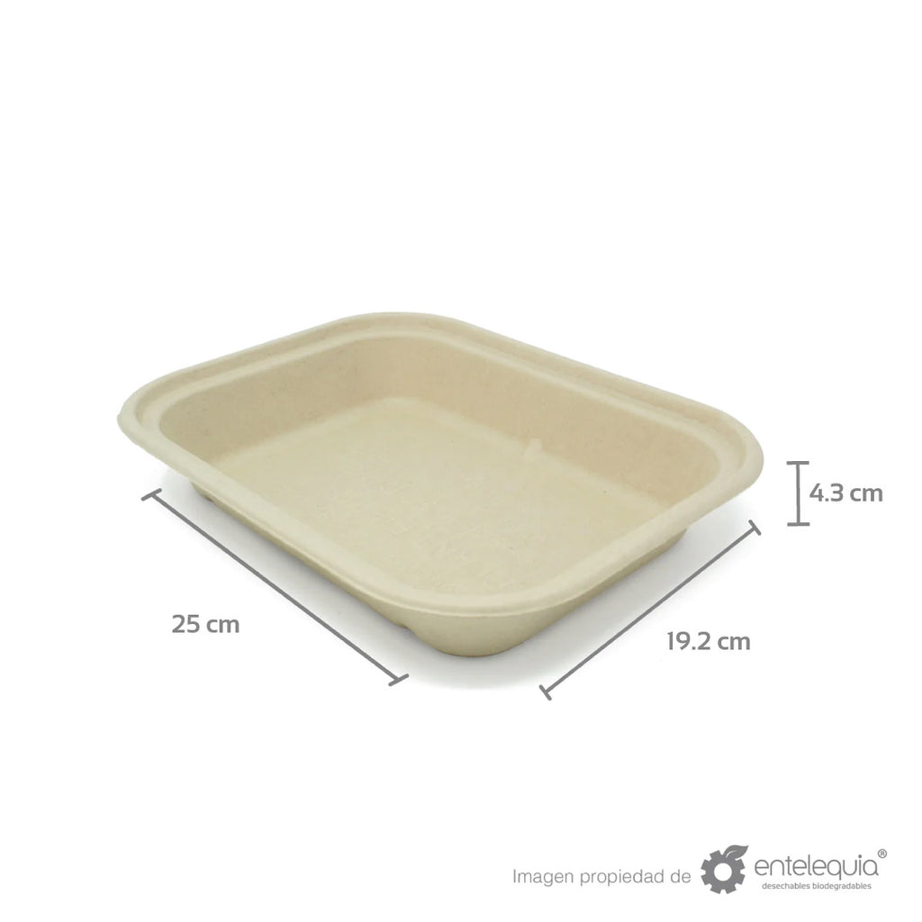 Contenedor de paja de trigo liso de 10x8” (25 x 19.2 x 4.3 cm)