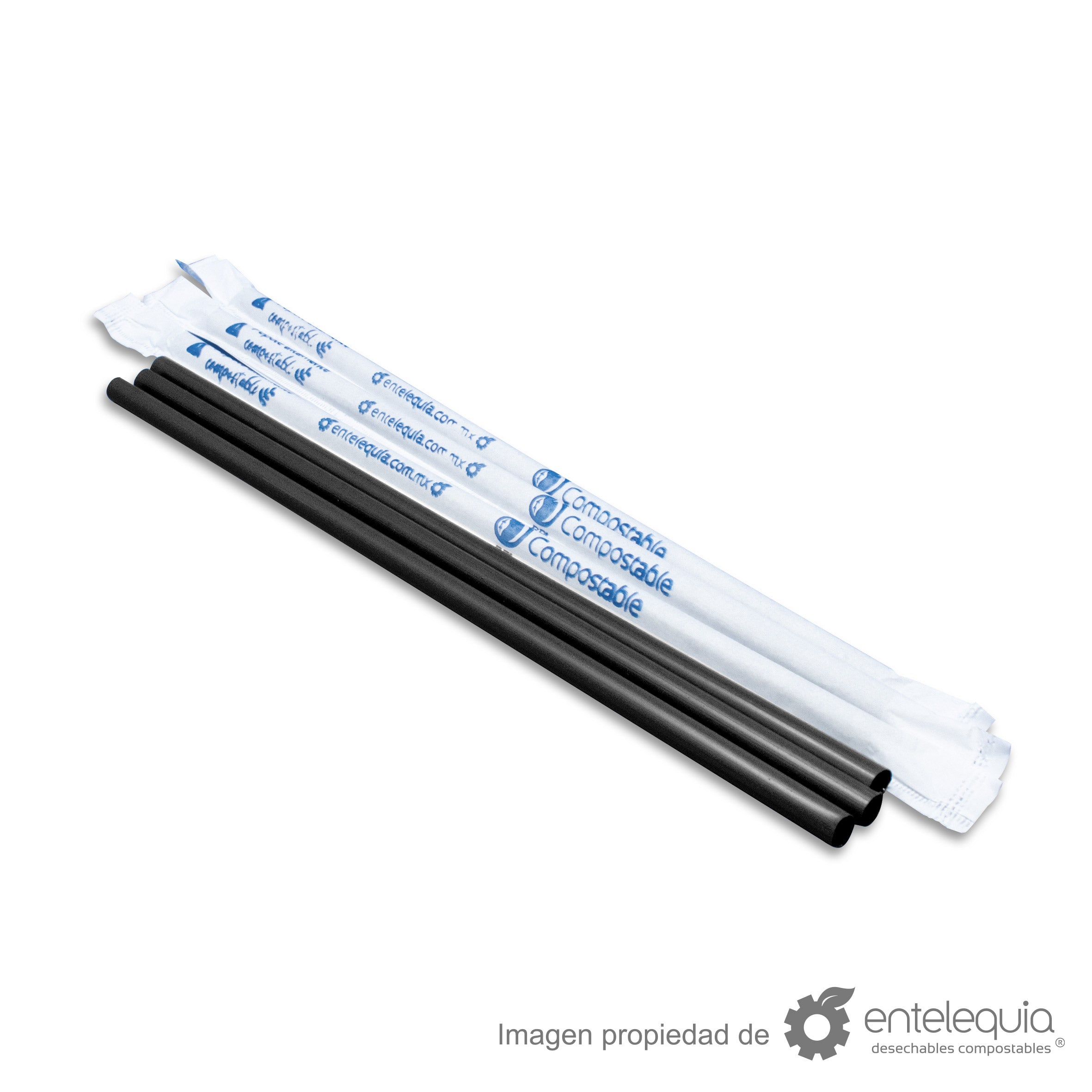 Popote PLA negro estuchado en papel
