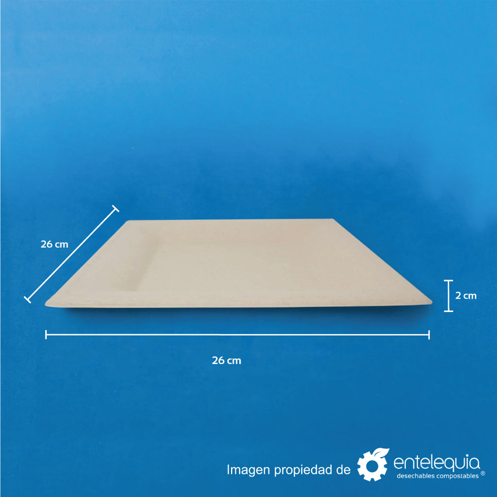 Plato cuadrado de 10" de paja de trigo
