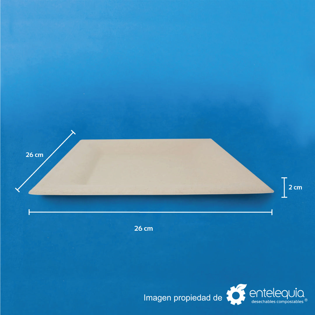 Plato cuadrado de 10" de paja de trigo