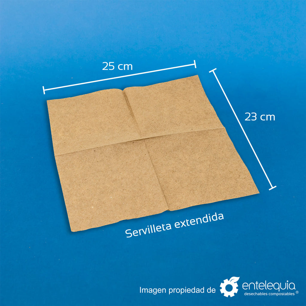 Servilleta cuadrada fibras recicladas no cloradas (11.5 x 12.5 cm)