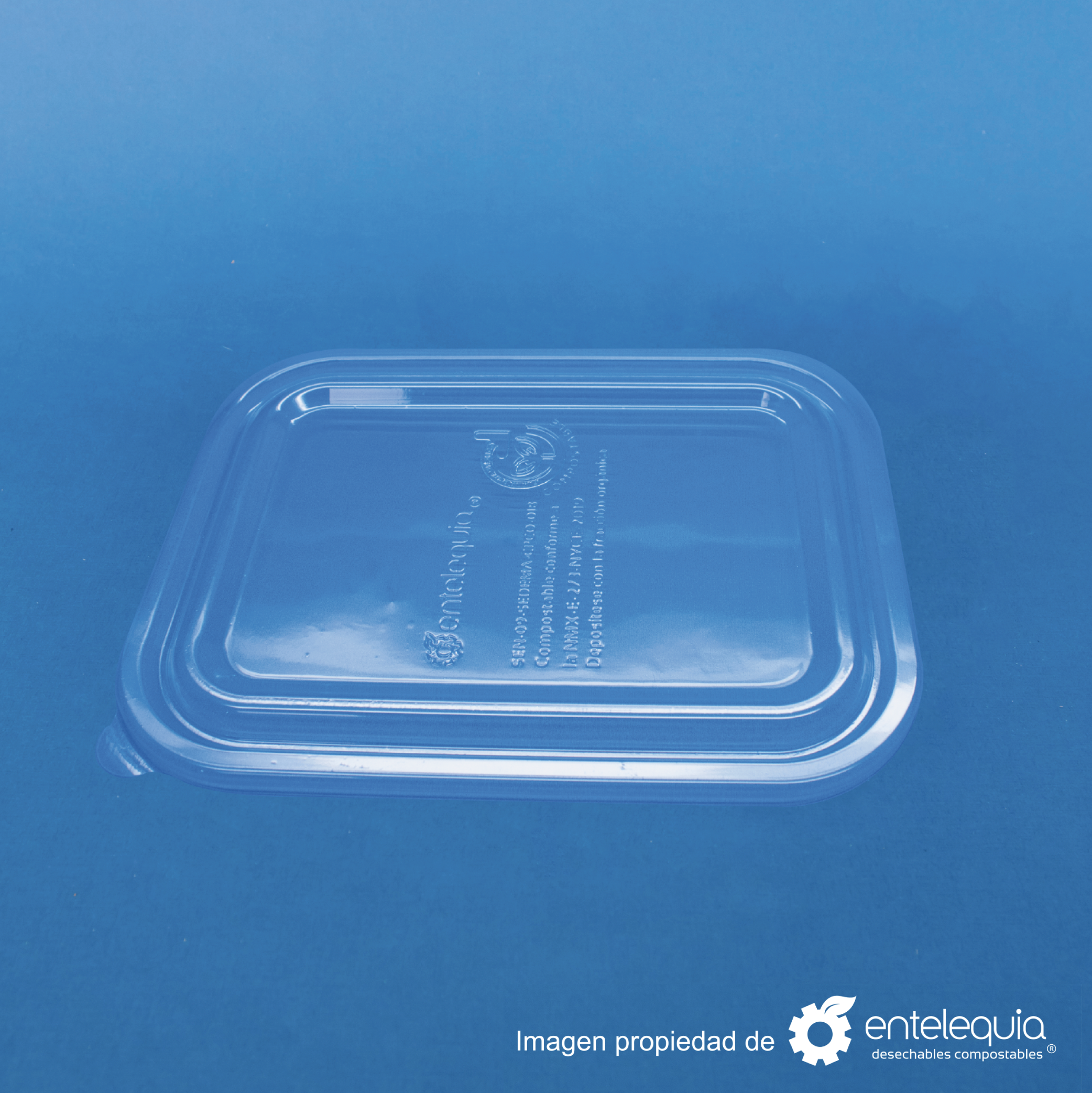 Tapa de PLA para contenedor rectangular de 18x14 cm