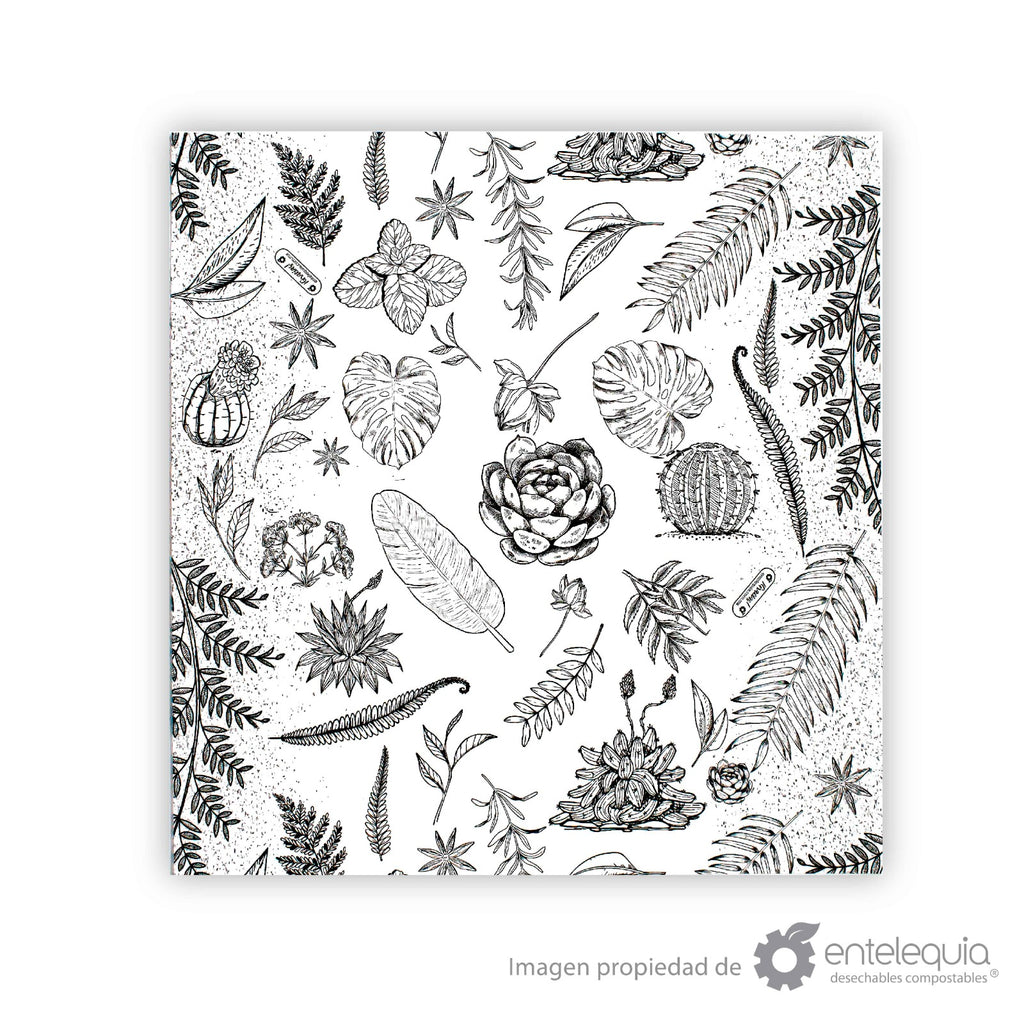 Sabanitas de Papel Grado Alimenticio para Envolver Alimentos | Biodegradables | 30 x 30 cm