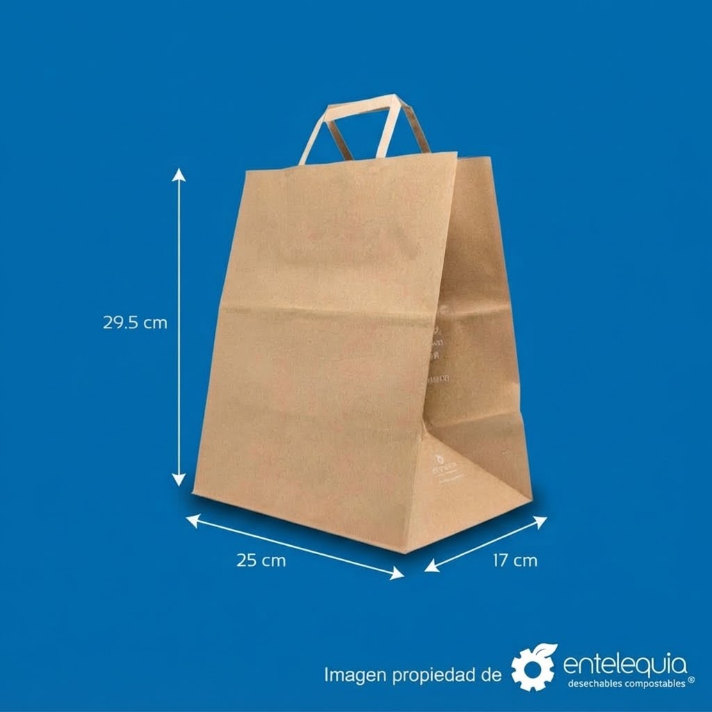 Bolsa de Papel Kraft Biodegradable con Asa Plana | 25cm x17cm