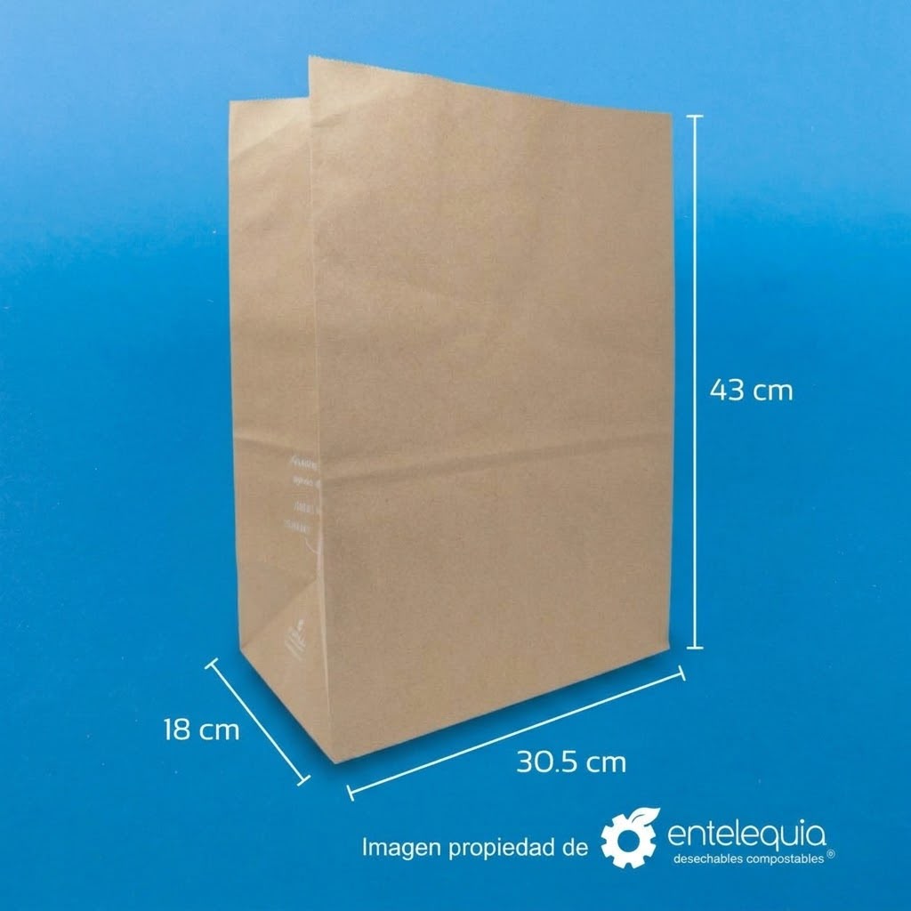 Bolsa de Papel Kraft 1/6 | 30.5 x 17.5 x 43 cm