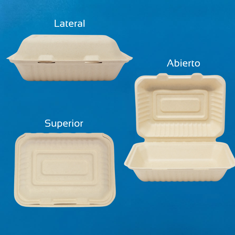 Almeja de Paja de Trigo para Alimentos | 9x6"
