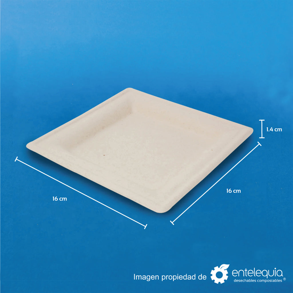 Plato cuadrado de 6" de paja de trigo