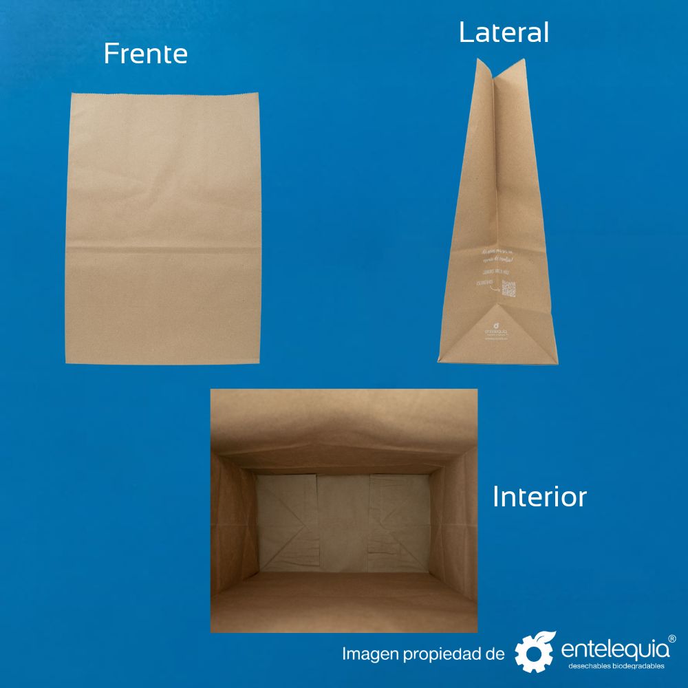 Bolsa de Papel Kraft 1/6 | 30.5 x 17.5 x 43 cm