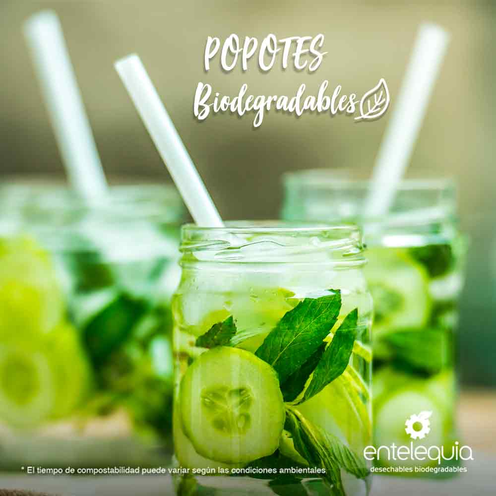 Popote PLA estuchado en papel 7.9in - Desechable Biodegradable Entelequia 100/1,000 pzas