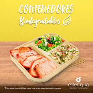 Contenedores Biodegradables desechables para restaurantes – Entelequia®  Desechables Biodegradables