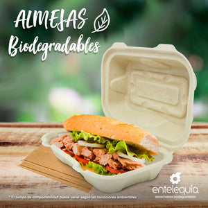 Contenedor Para Alimentos Desechable y Biodegradable De 9x6x3 c/2  divisiones - – We Care Desechables Biodegradables