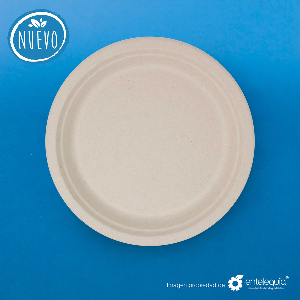 Plato liso de 9 pulgadas de Paja de Trigo- Desechable Biodegradable Entelequia®