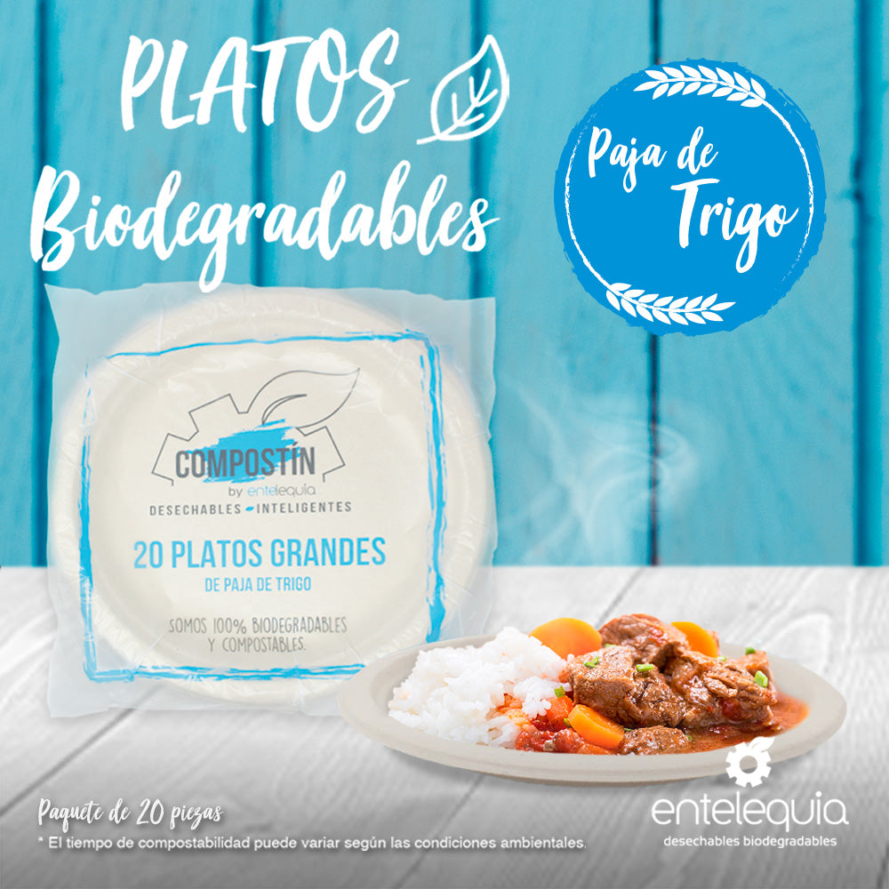 Plato liso de 9 pulgadas de Paja de Trigo- Desechable Biodegradable Entelequia®
