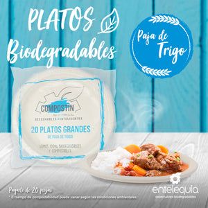 Plato liso de 9 pulgadas de Paja de Trigo- Desechable Biodegradable Entelequia®