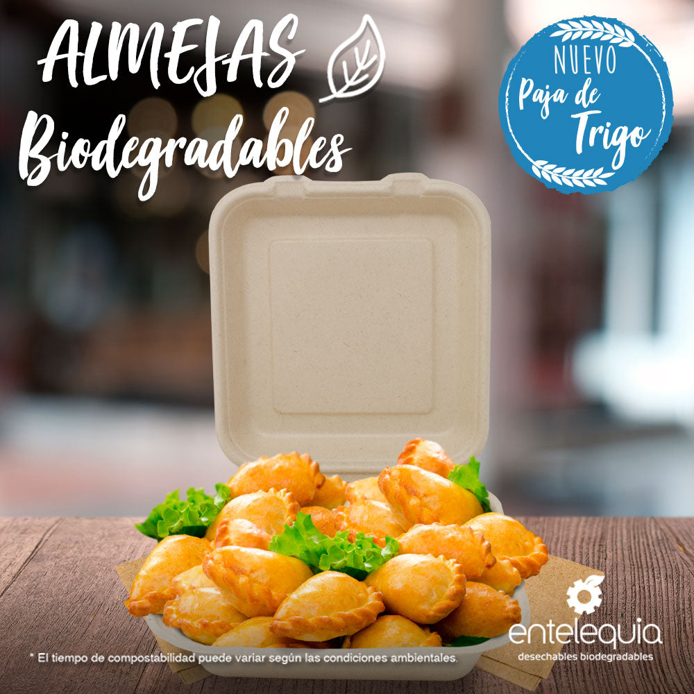 Almeja Cuadrada Lisa Paja de Trigo AL8 - Desechable Biodegradable Entelequia 50/200 pzas