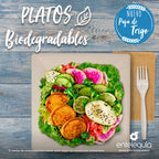 Plato cuadrado Paja de Trigo 10" - Desechable Biodegradable Entelequia 500 pzas