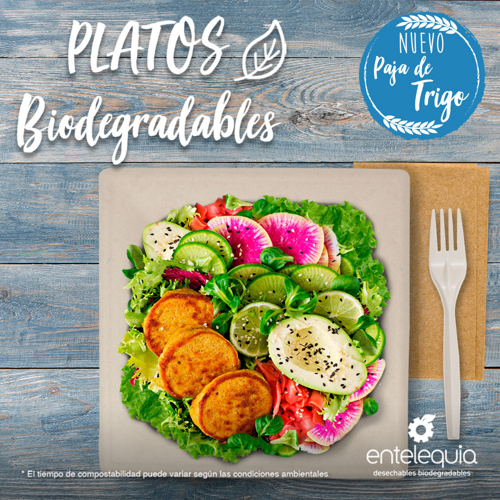 Plato cuadrado Paja de Trigo 10" - Desechable Biodegradable Entelequia 500 pzas