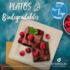 platos biodegradables