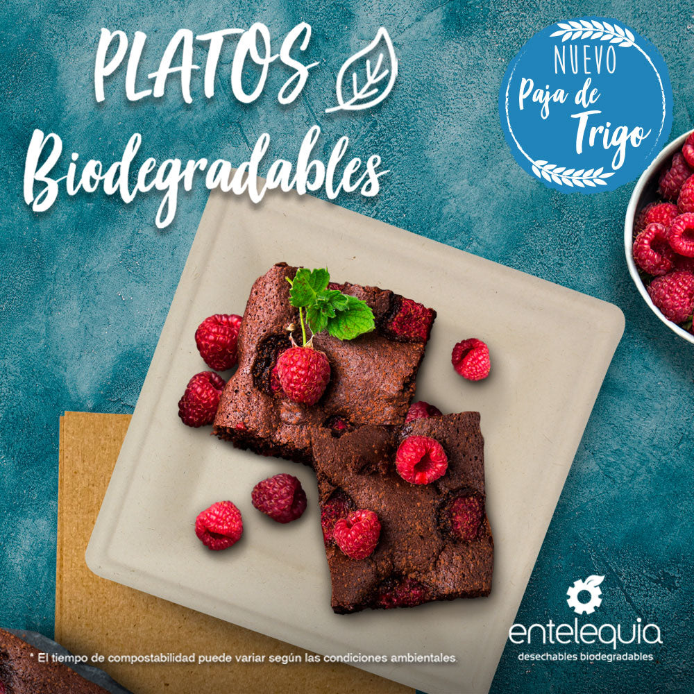 Platos Desechables Biodegradables – Entelequia® Desechables Biodegradables
