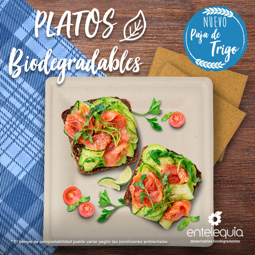 Plato cuadrado Paja de Trigo 8" PC8 - Desechable Biodegradable Entelequia 500 pzas