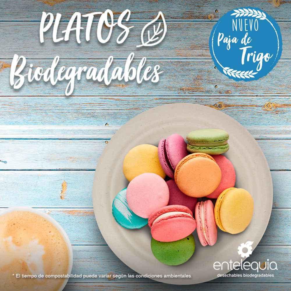 platos desechables biodegradables