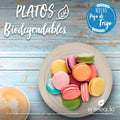 platos desechables biodegradables