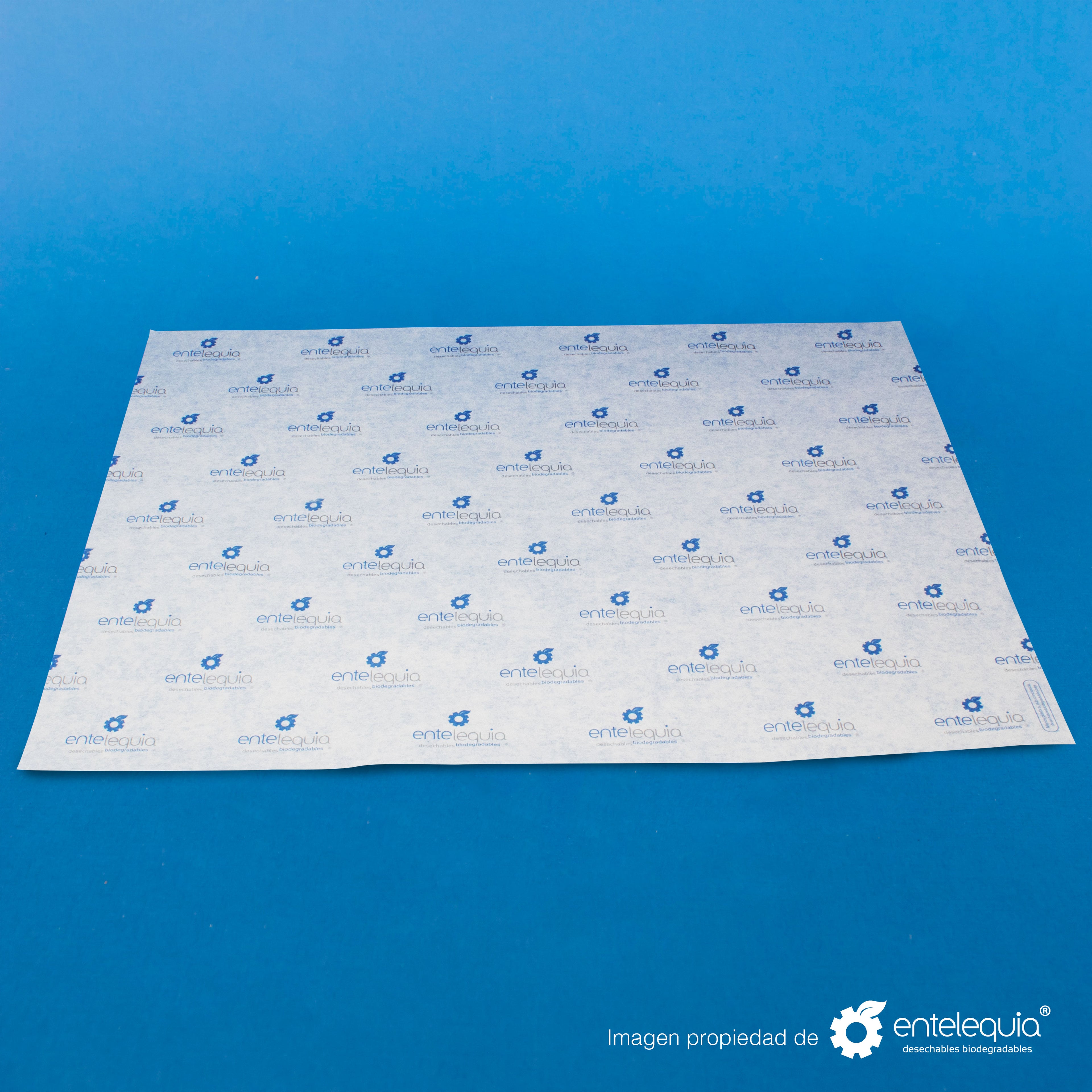 Sabanita personalizada 2 tintas Papel de 32 gramos (34 cm x 44.5 cm) - Desechables Biodegradables Entelequia®