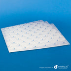 Sabanita personalizada 2 tintas Papel de 32 gramos (34 cm x 44.5 cm) - Desechables Biodegradables Entelequia®
