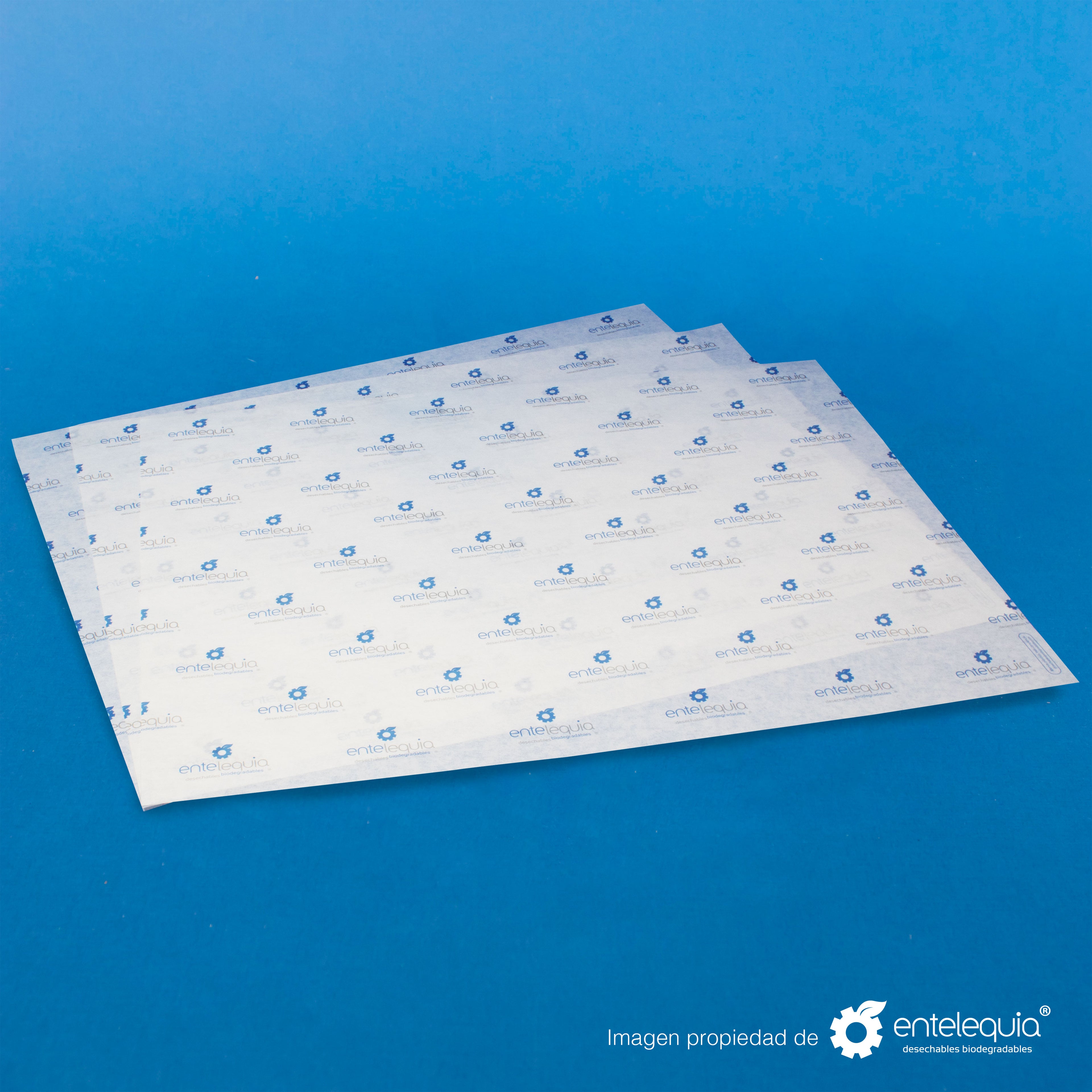 Sabanita personalizada 2 tintas Papel de 32 gramos (34 cm x 44.5 cm) - Desechables Biodegradables Entelequia®